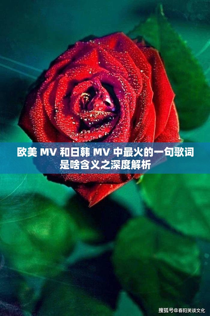 欧美 MV 和日韩 MV 中最火的一句歌词是啥含义之深度解析