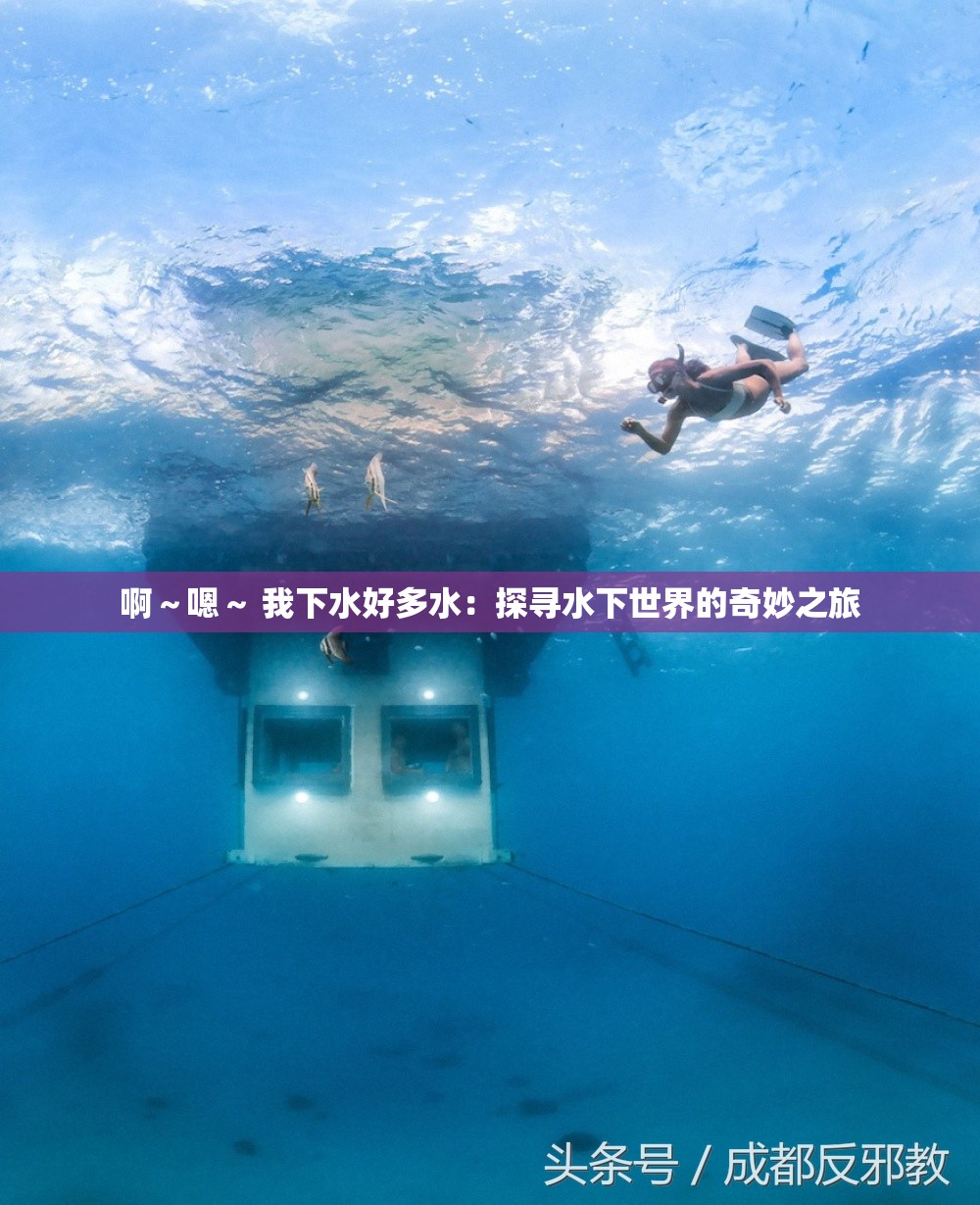 啊～嗯～ 我下水好多水：探寻水下世界的奇妙之旅