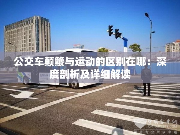 公交车颠簸与运动的区别在哪：深度剖析及详细解读