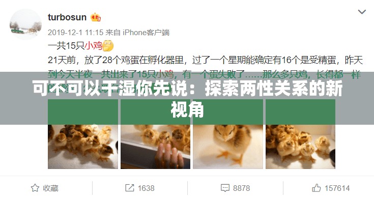 可不可以干湿你先说：探索两性关系的新视角