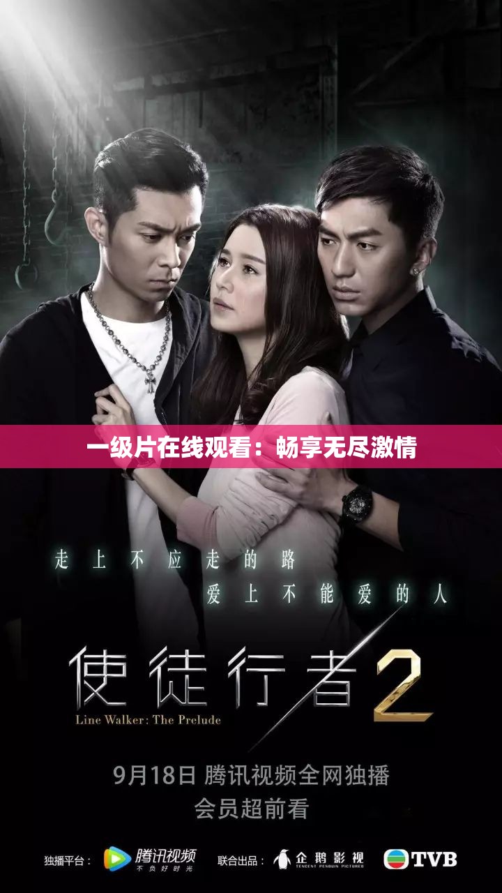 一级片在线观看：畅享无尽激情