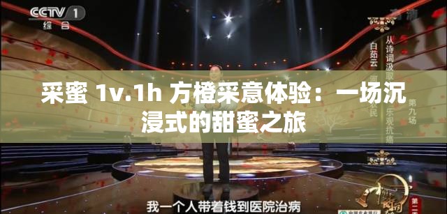 采蜜 1v.1h 方橙采意体验：一场沉浸式的甜蜜之旅