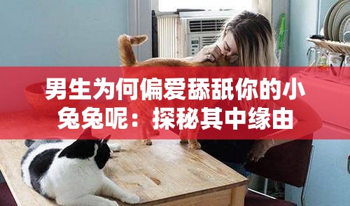 男生为何偏爱舔舐你的小兔兔呢：探秘其中缘由