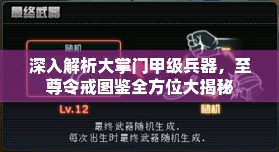 深入解析大掌门甲级兵器，至尊令戒图鉴全方位大揭秘