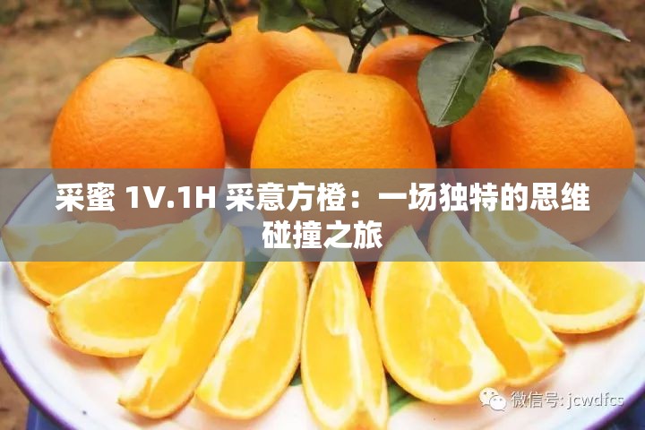 采蜜 1V.1H 采意方橙：一场独特的思维碰撞之旅