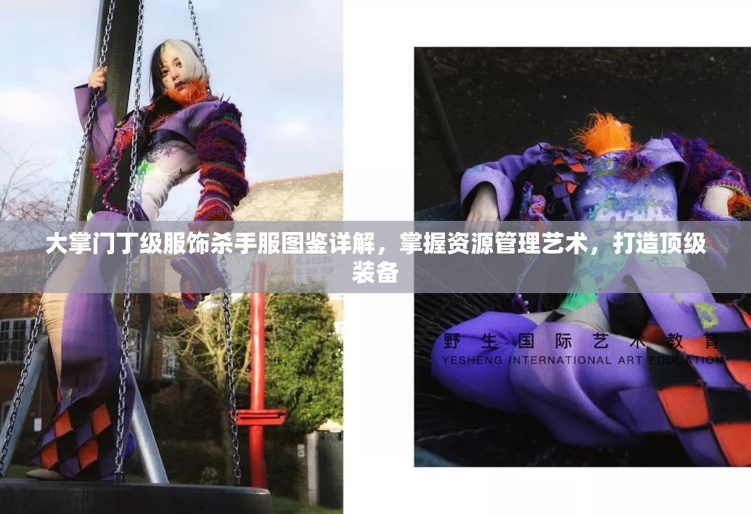 大掌门丁级服饰杀手服图鉴详解，掌握资源管理艺术，打造顶级装备