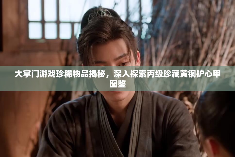 大掌门游戏珍稀物品揭秘，深入探索丙级珍藏黄铜护心甲图鉴