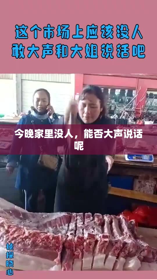 今晚家里没人，能否大声说话呢
