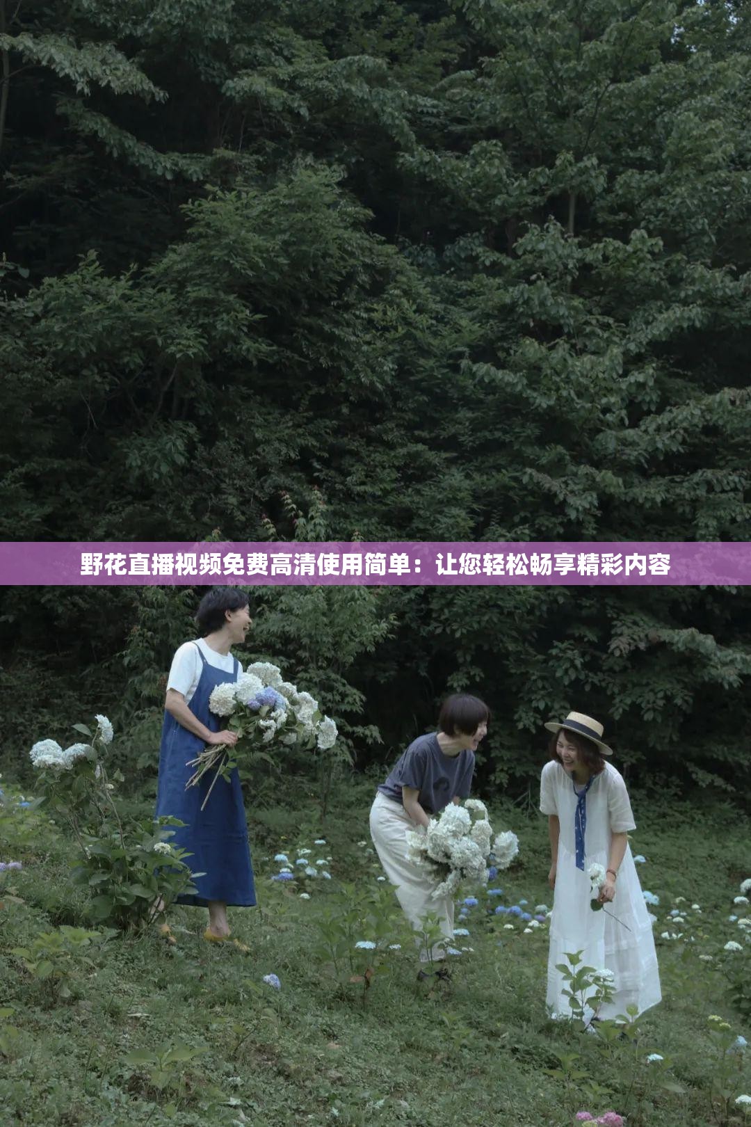 野花直播视频免费高清使用简单：让您轻松畅享精彩内容