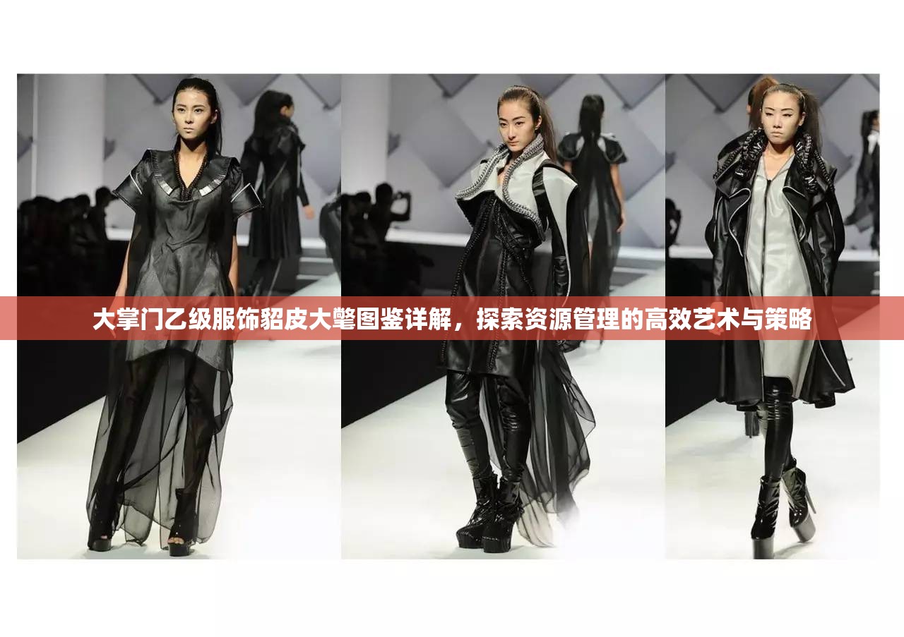 大掌门乙级服饰貂皮大氅图鉴详解，探索资源管理的高效艺术与策略