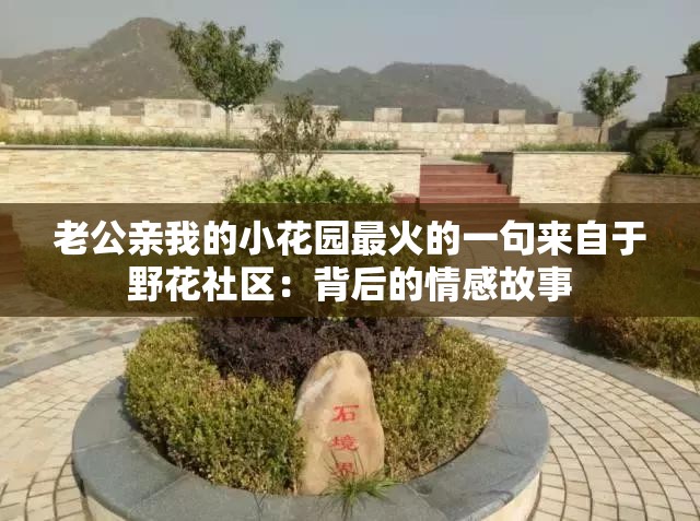 老公亲我的小花园最火的一句来自于野花社区：背后的情感故事