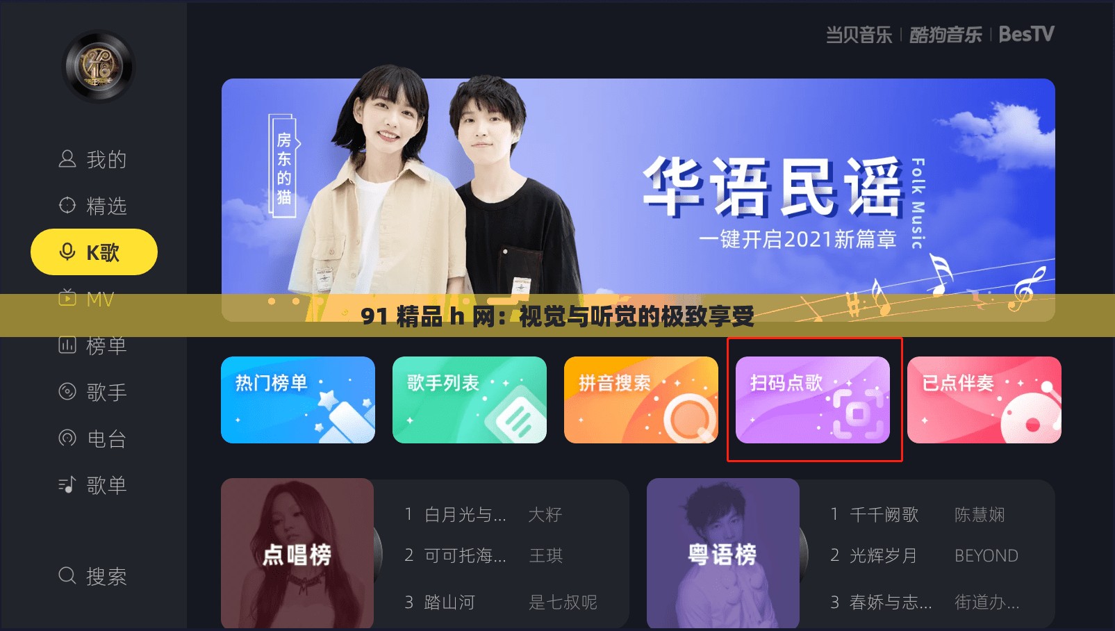 91 精品 h 网：视觉与听觉的极致享受
