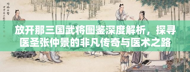 放开那三国武将图鉴深度解析，探寻医圣张仲景的非凡传奇与医术之路