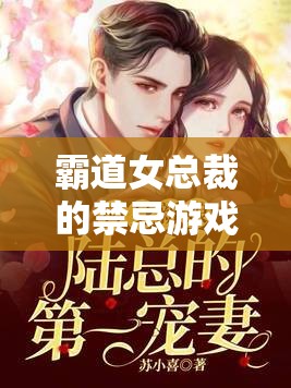 霸道女总裁的禁忌游戏：1 对 2