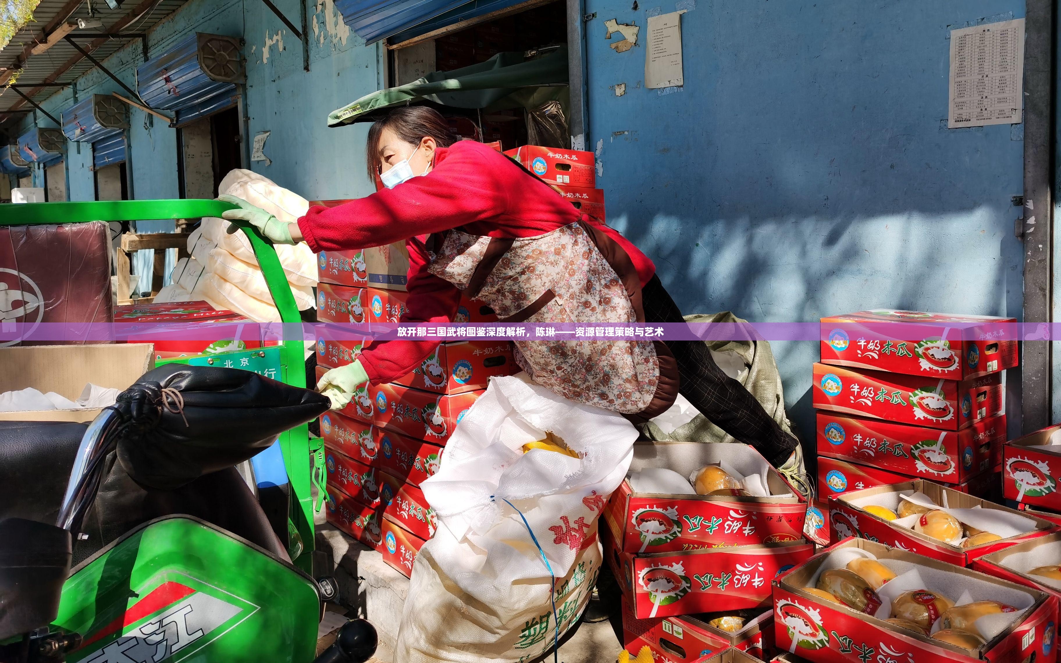 放开那三国武将图鉴深度解析，陈琳——资源管理策略与艺术