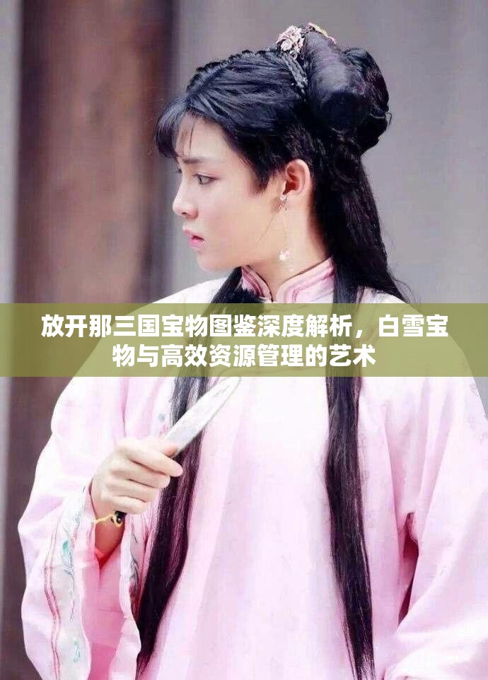 放开那三国宝物图鉴深度解析，白雪宝物与高效资源管理的艺术