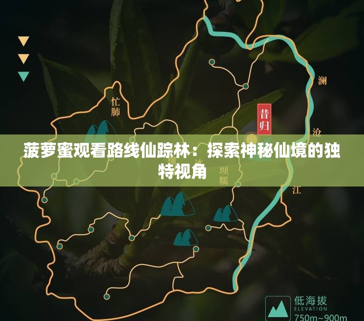 菠萝蜜观看路线仙踪林：探索神秘仙境的独特视角