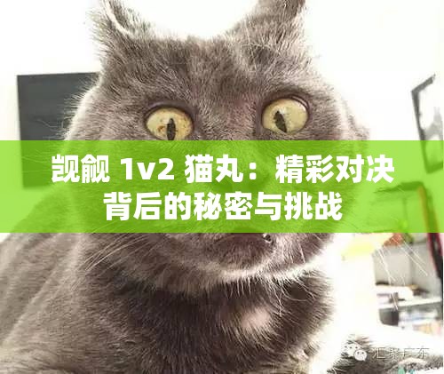 觊觎 1v2 猫丸：精彩对决背后的秘密与挑战