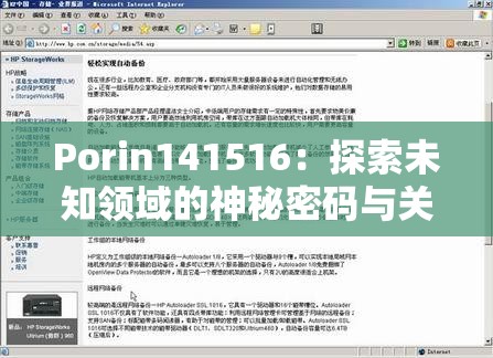 Porin141516：探索未知领域的神秘密码与关键线索