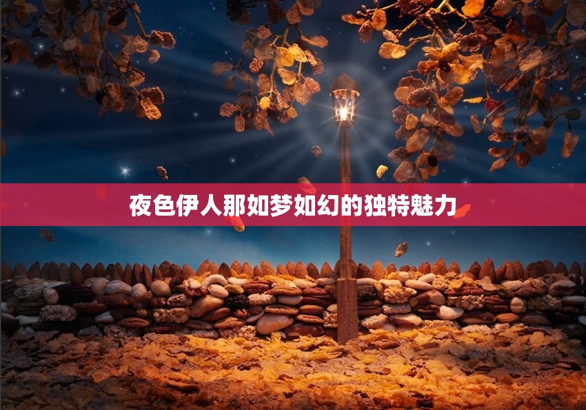 夜色伊人那如梦如幻的独特魅力