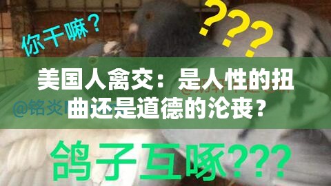 美国人禽交：是人性的扭曲还是道德的沦丧？