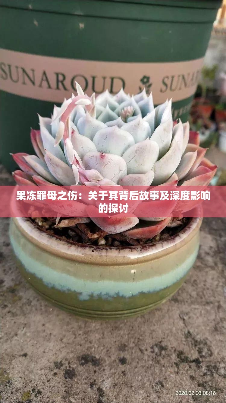 果冻罪母之伤：关于其背后故事及深度影响的探讨