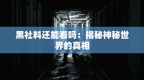 黑社料还能看吗：揭秘神秘世界的真相