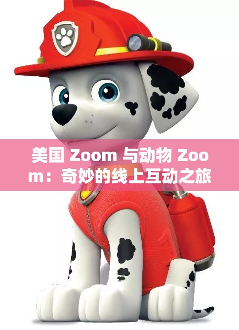 美国 Zoom 与动物 Zoom：奇妙的线上互动之旅