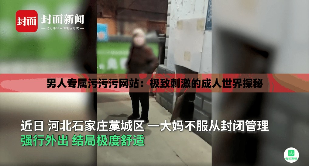 男人专属污污污网站：极致刺激的成人世界探秘