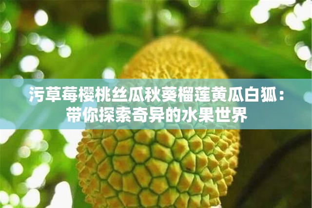 污草莓樱桃丝瓜秋葵榴莲黄瓜白狐：带你探索奇异的水果世界