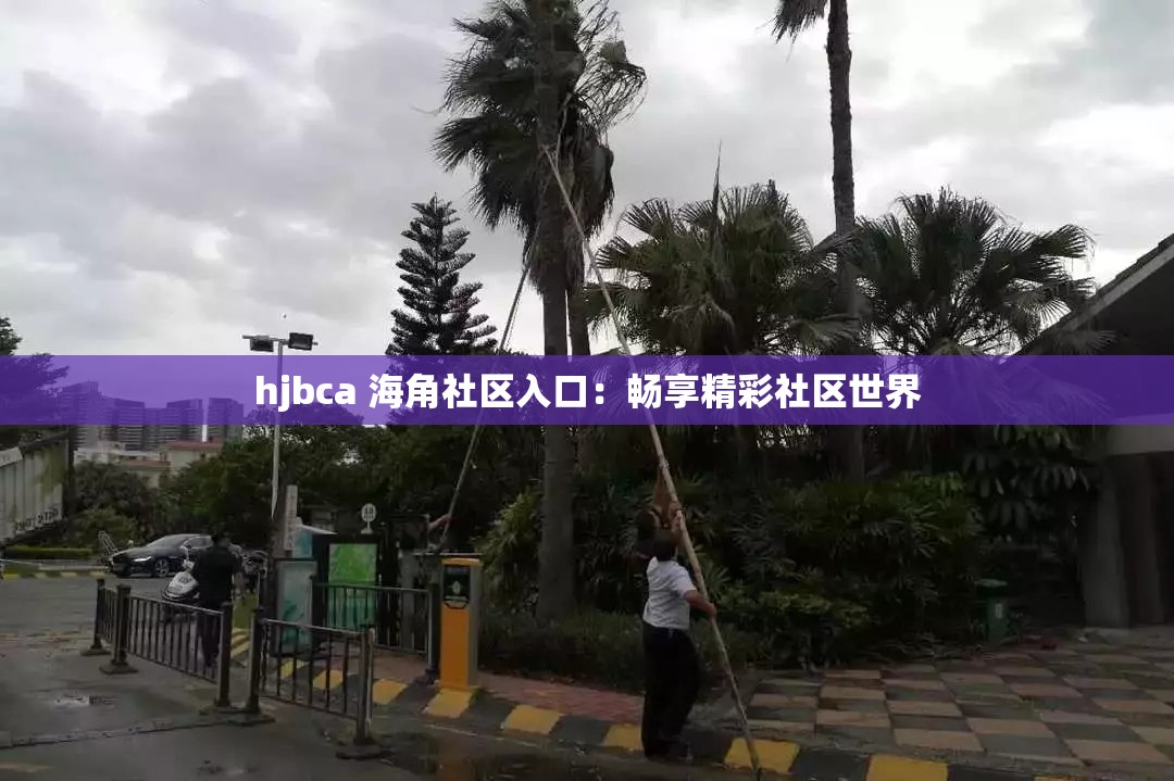 hjbca 海角社区入口：畅享精彩社区世界