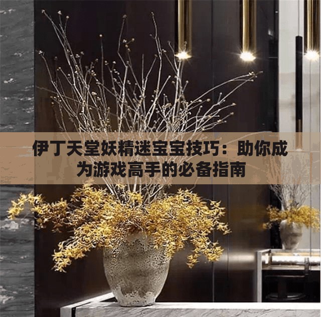 伊丁天堂妖精迷宝宝技巧：助你成为游戏高手的必备指南