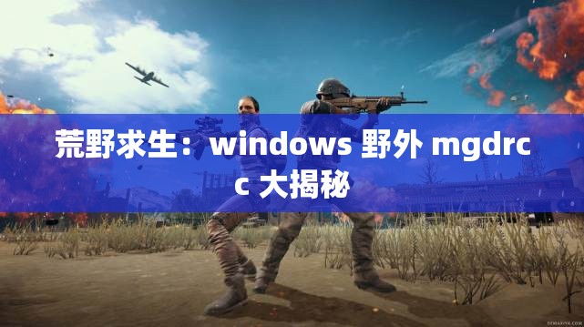 荒野求生：windows 野外 mgdrcc 大揭秘