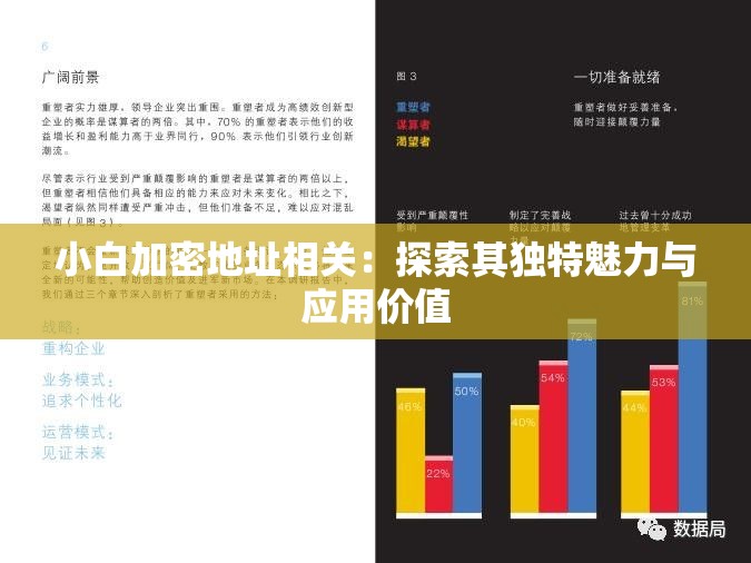 小白加密地址相关：探索其独特魅力与应用价值