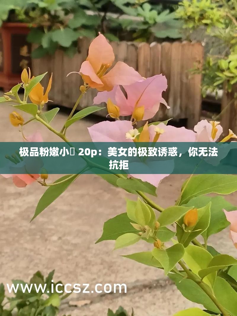 极品粉嫩小泬 20p：美女的极致诱惑，你无法抗拒