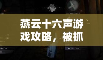 燕云十六声游戏攻略，被抓入大牢后如何迅速出狱的实用秘籍