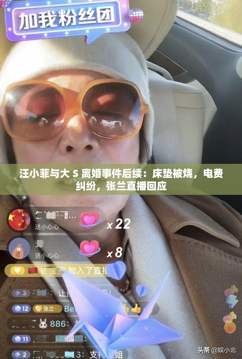 汪小菲与大 S 离婚事件后续：床垫被烧，电费纠纷，张兰直播回应