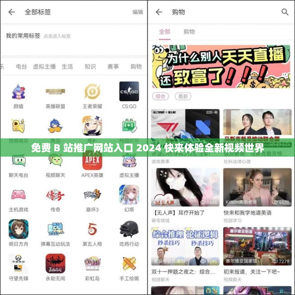 免费 B 站推广网站入口 2024 快来体验全新视频世界