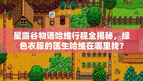 星露谷物语哈维行程全揭秘，绿色衣服的医生哈维在哪里找？