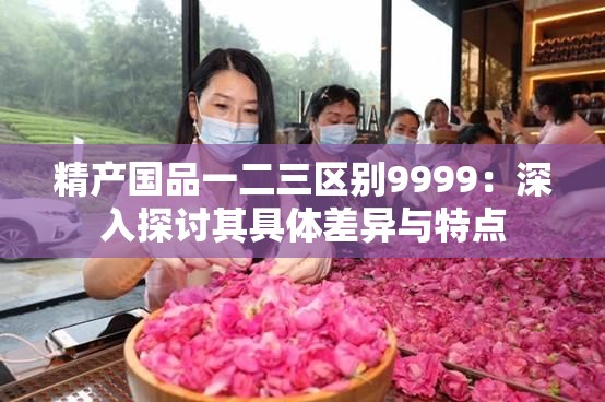 精产国品一二三区别9999：深入探讨其具体差异与特点