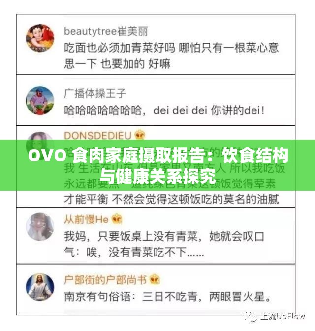 OVO 食肉家庭摄取报告：饮食结构与健康关系探究