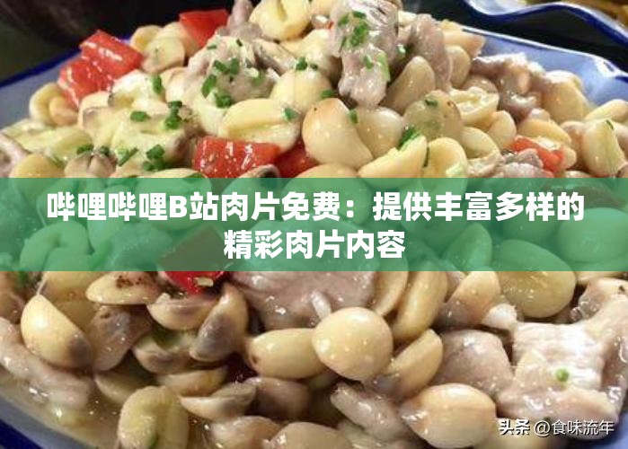 哔哩哔哩B站肉片免费：提供丰富多样的精彩肉片内容