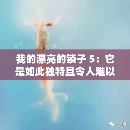 我的漂亮的锁子 5：它是如此独特且令人难以忘怀