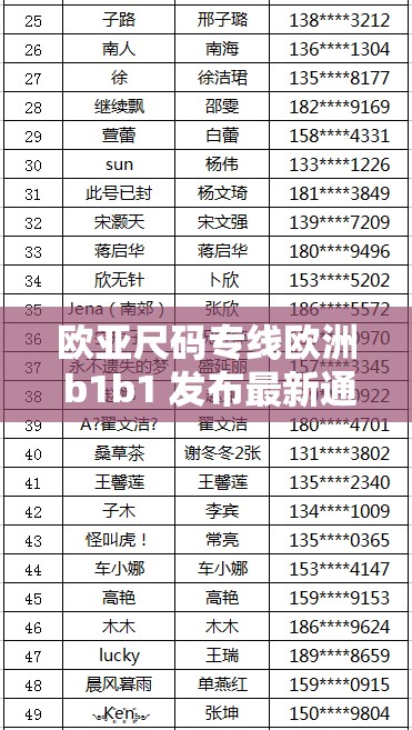 欧亚尺码专线欧洲 b1b1 发布最新通告：尺码专线，助力跨境电商发展