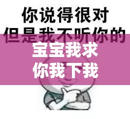 宝宝我求你我下我的 B ：这究竟是怎样的一种请求