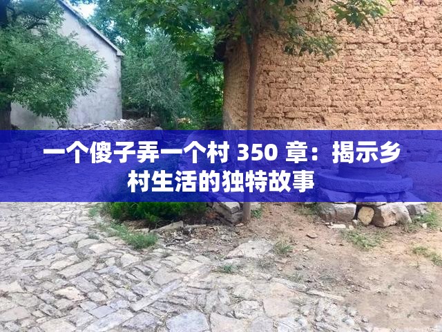 一个傻子弄一个村 350 章：揭示乡村生活的独特故事