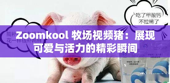 Zoomkool 牧场视频猪：展现可爱与活力的精彩瞬间