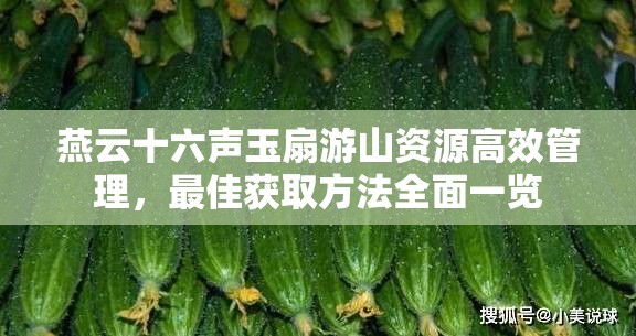 燕云十六声玉扇游山资源高效管理，最佳获取方法全面一览