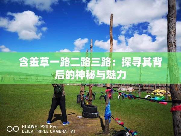 含羞草一路二路三路：探寻其背后的神秘与魅力