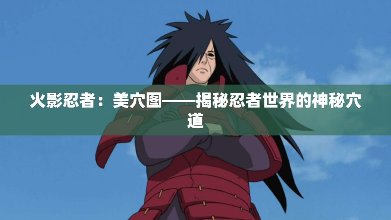 火影忍者：美穴图——揭秘忍者世界的神秘穴道